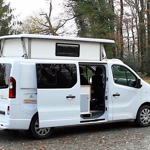 toit relevable champignon van